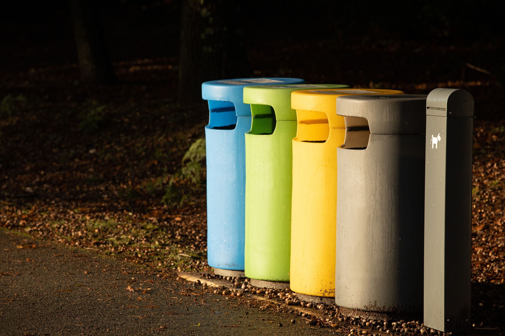 A row of colorful recycling bins lined up on a pavement in a natural outdoor setting.
