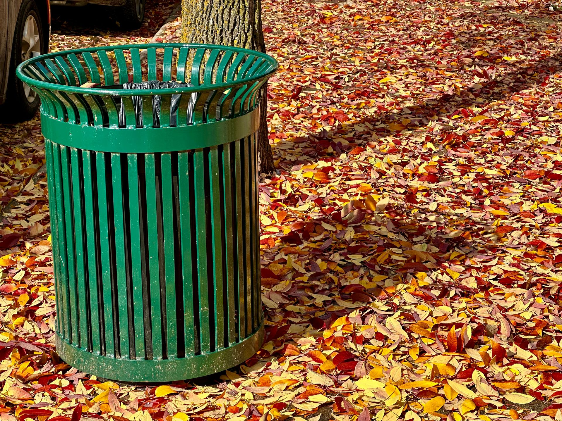 a green trash can sitting next to a tree