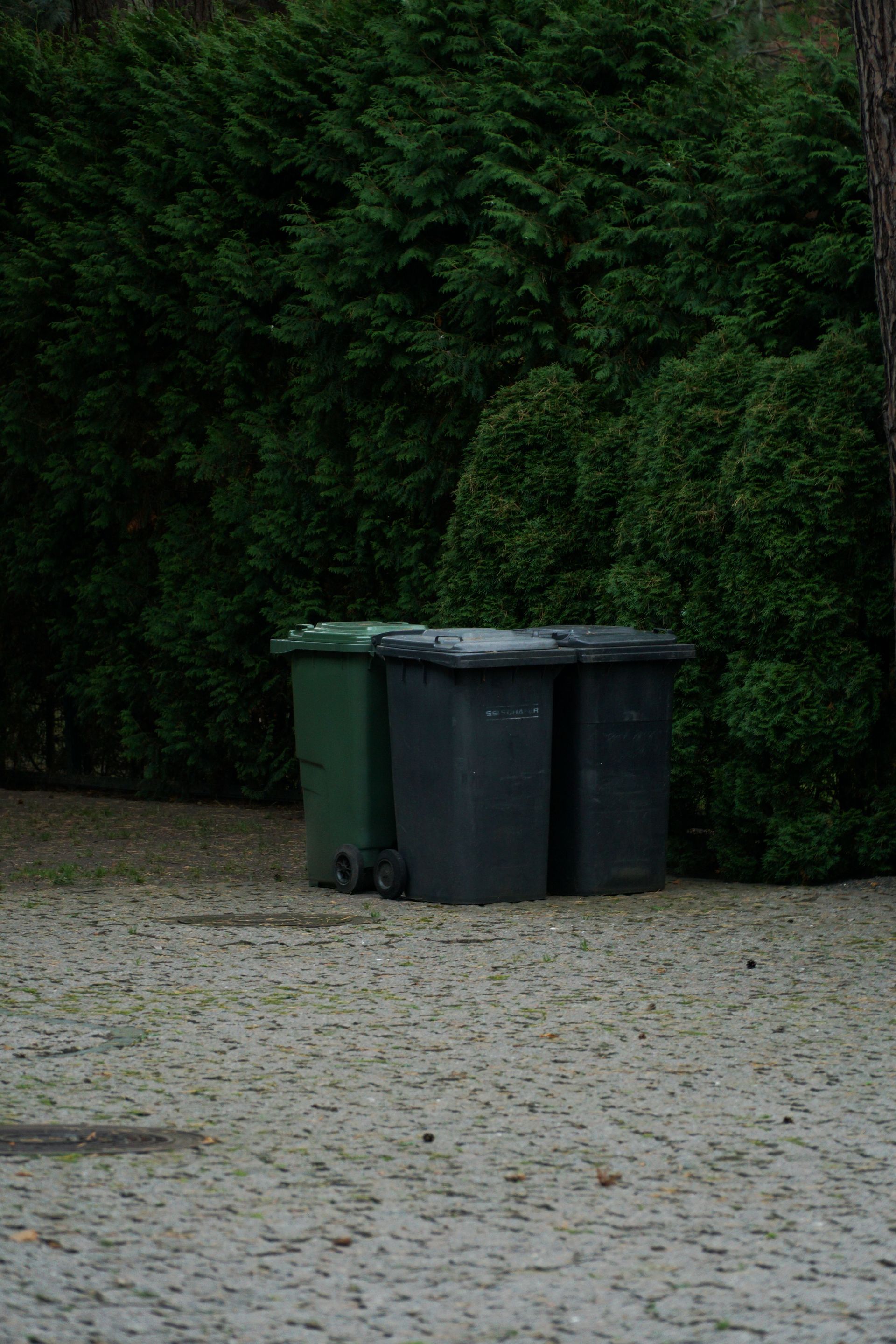 Three trash bins on a cobblestone path beside dense green bushes in a quiet urban area.